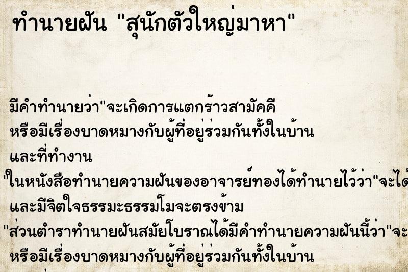 ทำนายฝันสุนักตัวใหญ่มาหา ทำนายฝันทำนายฝันสุนักตัวใหญ่มาหา