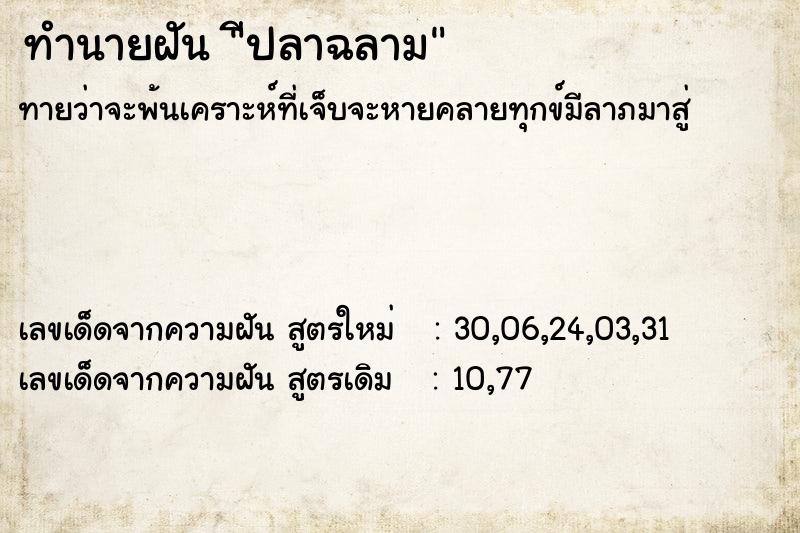 ทำนายฝันีปลาฉลาม ทำนายฝันทำนายฝันีปลาฉลาม