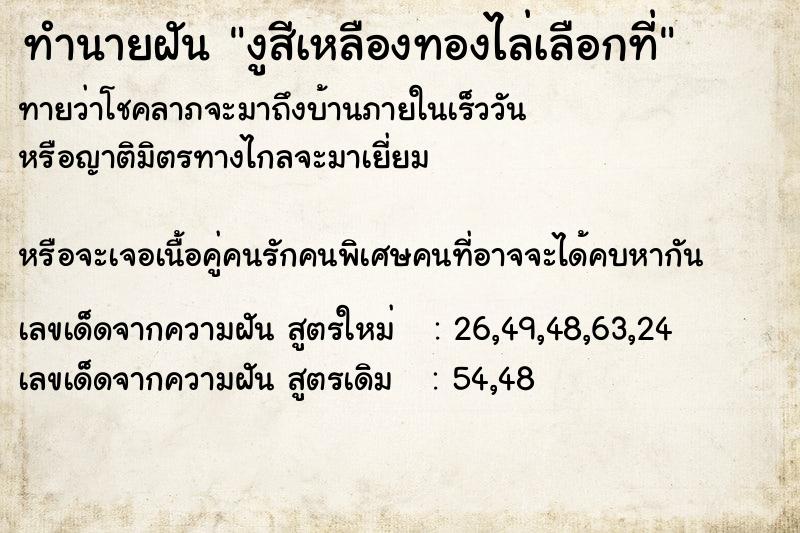 ทำนายฝันงูสีเหลืองทองไล่เลือกที่ ทำนายฝันทำนายฝันงูสีเหลืองทองไล่เลือกที่