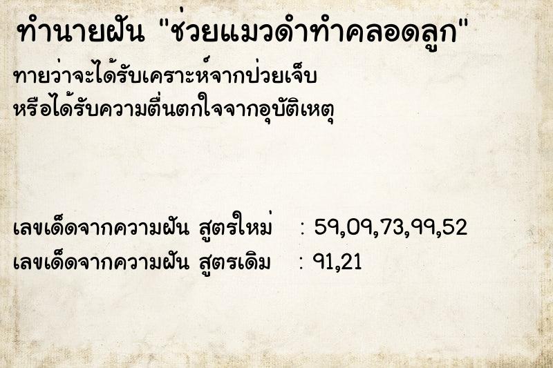 ทำนายฝันทำนายฝันช่วยแมวดำทำคลอดลูก