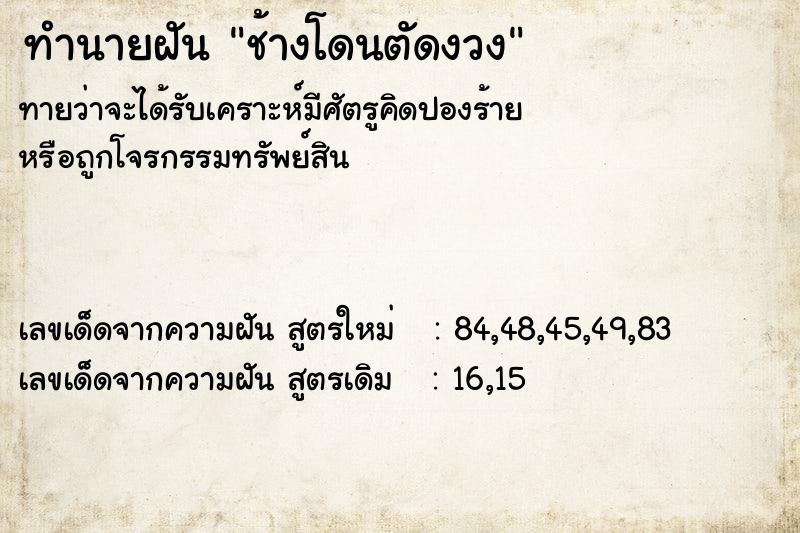 ทำนายฝันช้างโดนตัดงวง ทำนายฝันทำนายฝันช้างโดนตัดงวง