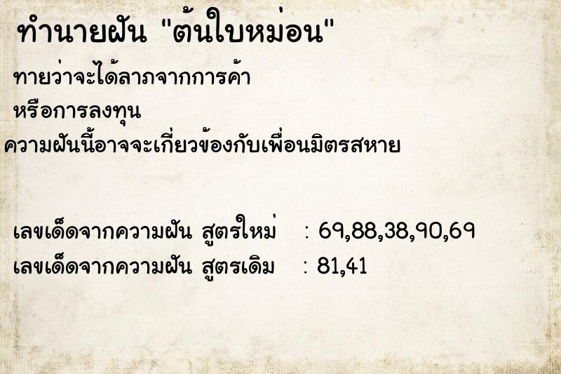 ทำนายฝัน ต้นใบหม่อน ทำนายฝัน ต้นใบหม่อน