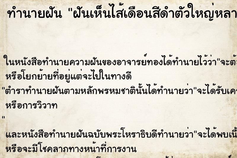ทำนายฝันฝันเห็นไส้เดือนสีดำตัวใหญ่หลายตัวน ทำนายฝันทำนายฝันฝันเห็นไส้เดือนสีดำตัวใหญ่หลายตัวน