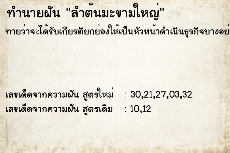 ทำนายฝันลำต้นมะขามใหญ่ ทำนายฝันทำนายฝันลำต้นมะขามใหญ่