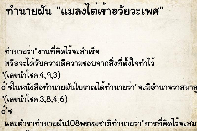 ทำนายฝัน แมลงไต่เข้าอวัยวะเพศ ตำราโบราณ แม่นที่สุดในโลก