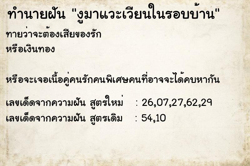 ทำนายฝันทำนายฝันงูมาแวะเวียนในรอบบ้าน