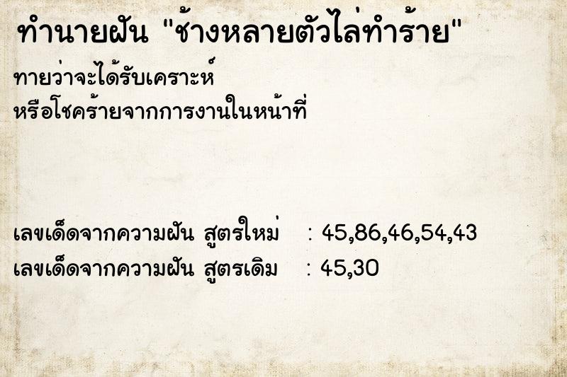 ทำนายฝันช้างหลายตัวไล่ทำร้าย ทำนายฝันทำนายฝันช้างหลายตัวไล่ทำร้าย