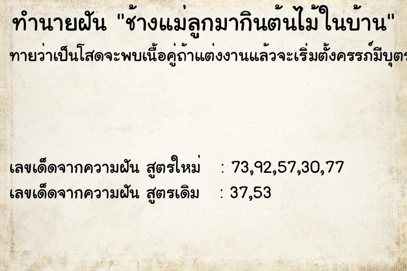 ทำนายฝันทำนายฝันช้างแม่ลูกมากินต้นไม้ในบ้าน