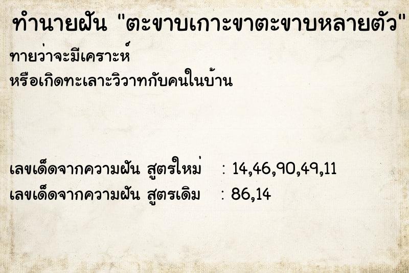 ทำนายฝันตะขาบเกาะขาตะขาบหลายตัว ทำนายฝันทำนายฝันตะขาบเกาะขาตะขาบหลายตัว