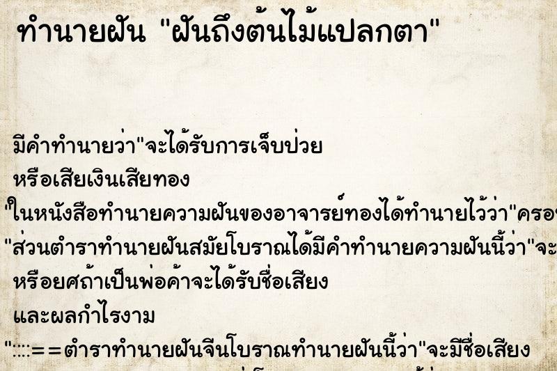 ทำนายฝัน ฝันถึงต้นไม้แปลกตา ทำนายฝัน ฝันถึงต้นไม้แปลกตา