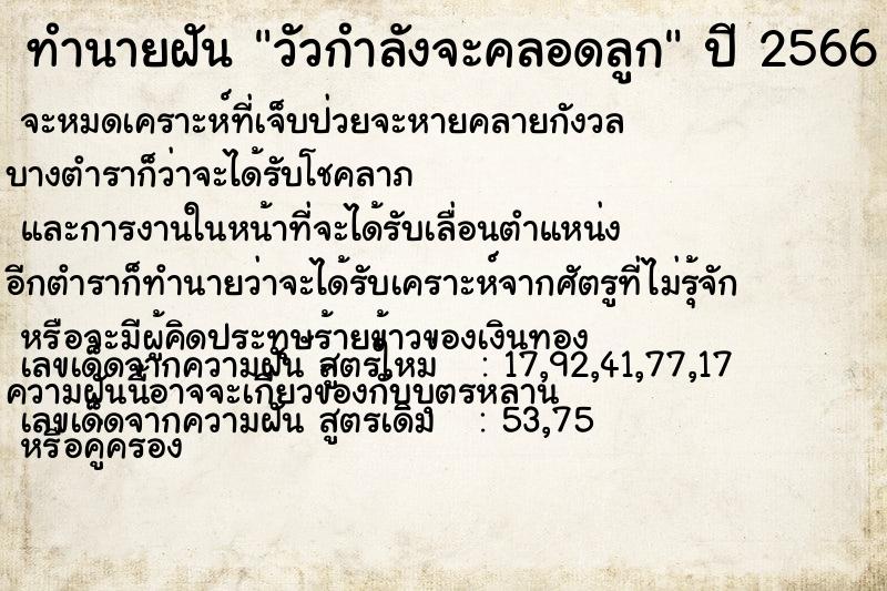 ทำนายฝันวัวกำลังจะคลอดลูก ทำนายฝันทำนายฝันวัวกำลังจะคลอดลูก