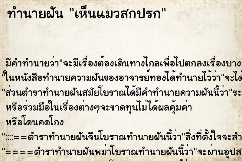 ทำนายฝัน เห็นแมวสกปรก ตำราโบราณ แม่นที่สุดในโลก