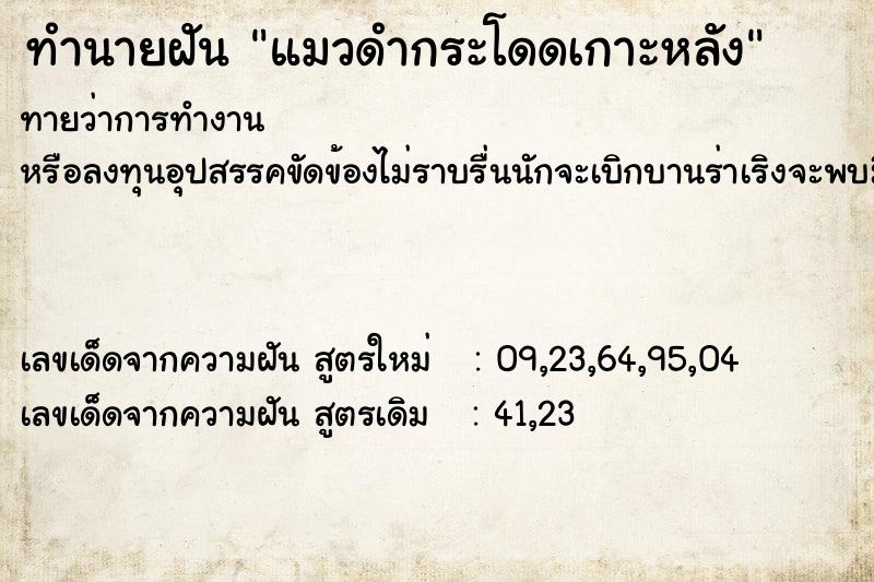 ทำนายฝันแมวดำกระโดดเกาะหลัง ทำนายฝันทำนายฝันแมวดำกระโดดเกาะหลัง