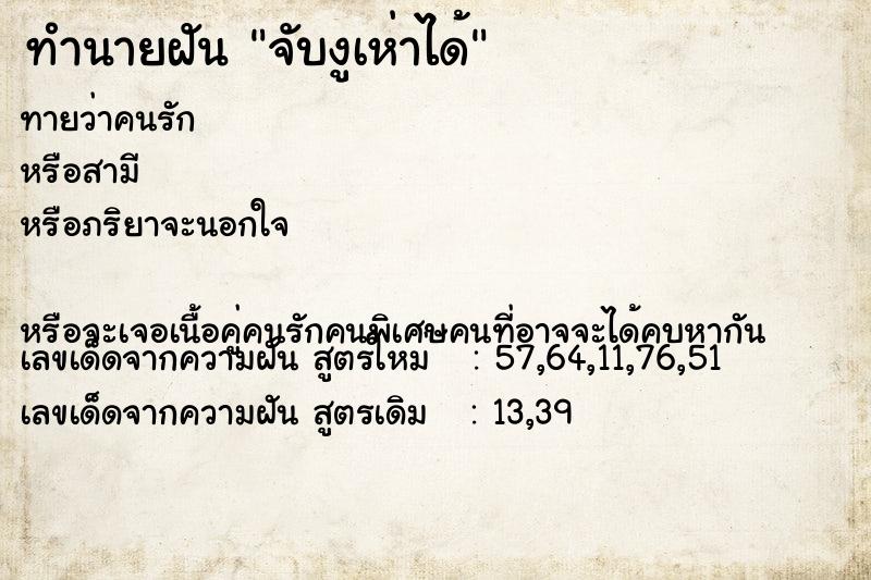 ทำนายฝันจับงูเห่าได้ ทำนายฝันทำนายฝันจับงูเห่าได้