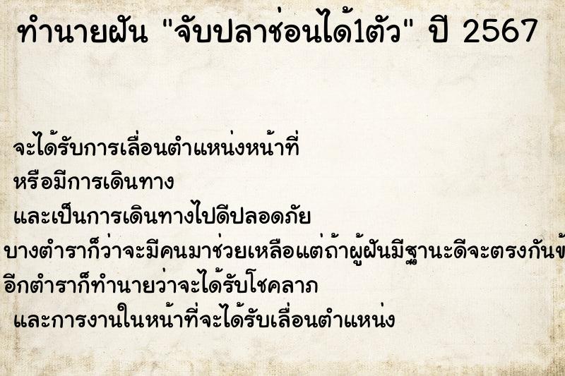 ทำนายฝัน จับปลาช่อนได้1ตัว ตำราโบราณ แม่นที่สุดในโลก