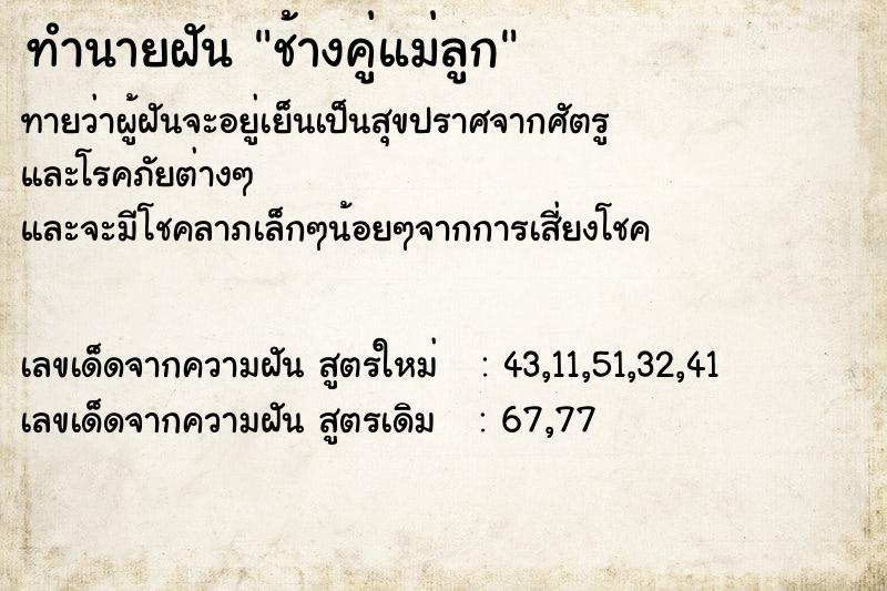 ทำนายฝันทำนายฝันช้างคู่แม่ลูก