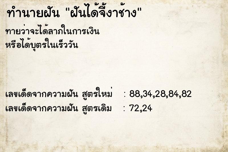 ทำนายฝันฝันได้จี้งาช้าง ทำนายฝันทำนายฝันฝันได้จี้งาช้าง