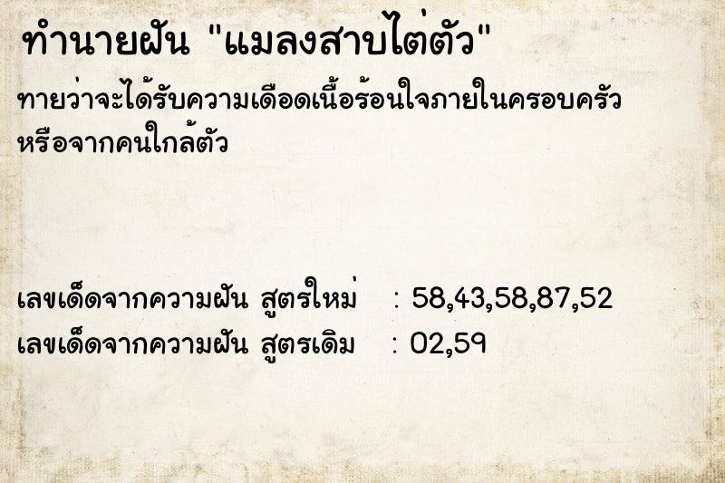 ทำนายฝันแมลงสาบไต่ตัว ทำนายฝันทำนายฝันแมลงสาบไต่ตัว