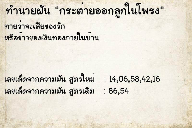 ทำนายฝันกระต่ายออกลูกในโพรง ทำนายฝันทำนายฝันกระต่ายออกลูกในโพรง