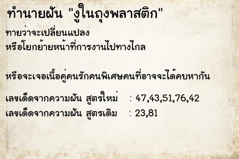 ทำนายฝัน งูในถุงพลาสติก ตำราโบราณ แม่นที่สุดในโลก