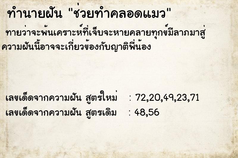 ทำนายฝัน ช่วยทำคลอดแมว ทำนายฝัน ช่วยทำคลอดแมว