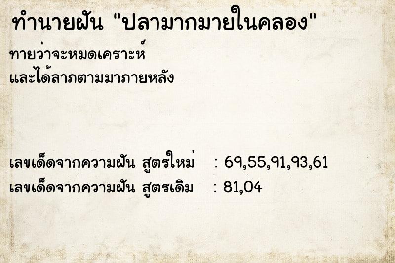 ทำนายฝันทำนายฝันปลามากมายในคลอง