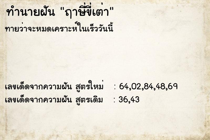 ทำนายฝัน ฤาษี่ขี่เต่า ทำนายฝัน ฤาษี่ขี่เต่า