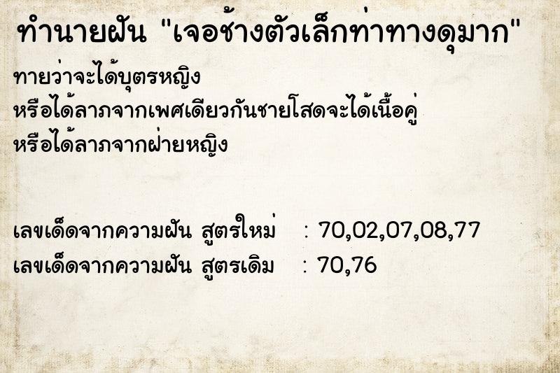 ทำนายฝันเจอช้างตัวเล็กท่าทางดุมาก ทำนายฝันทำนายฝันเจอช้างตัวเล็กท่าทางดุมาก