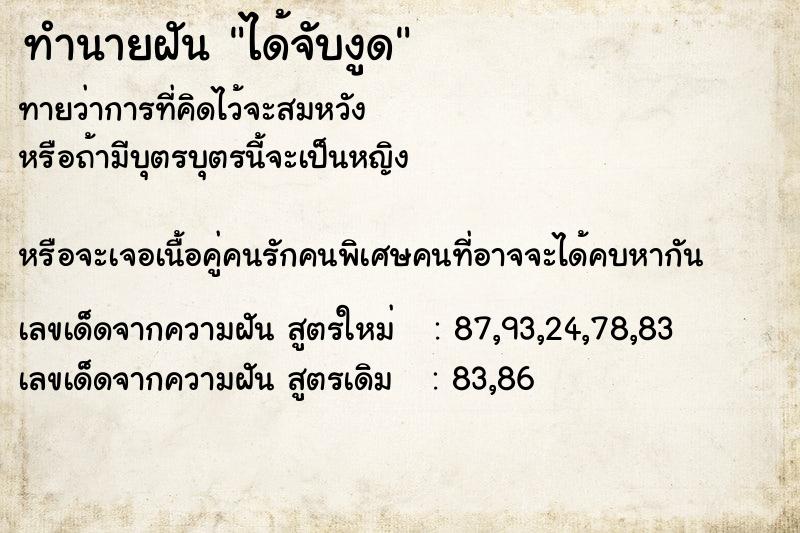 ทำนายฝันทำนายฝันได้จับงูด