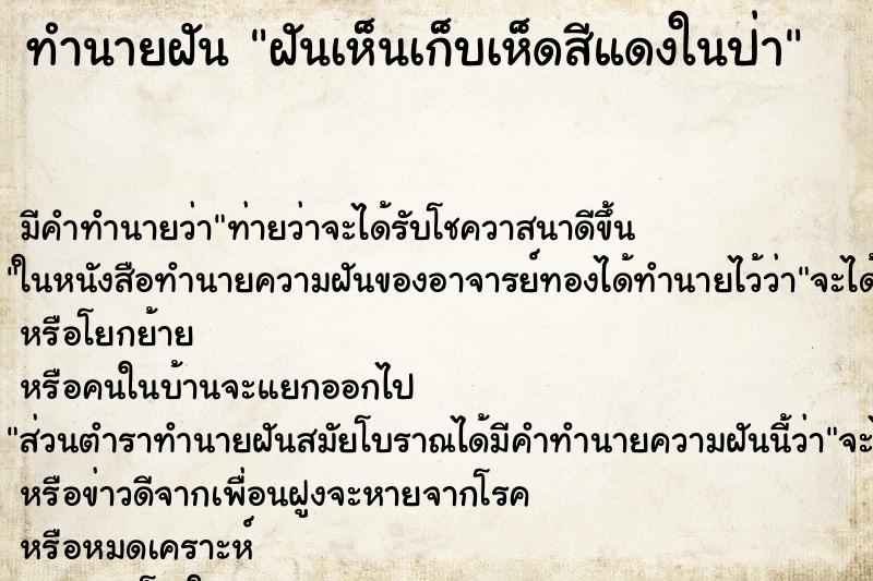 ทำนายฝัน ฝันเห็นเก็บเห็ดสีแดงในป่า ทำนายฝัน ฝันเห็นเก็บเห็ดสีแดงในป่า