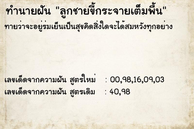 ทำนายฝันลูกชายขี้กระจายเต็มพื้น ทำนายฝันทำนายฝันลูกชายขี้กระจายเต็มพื้น