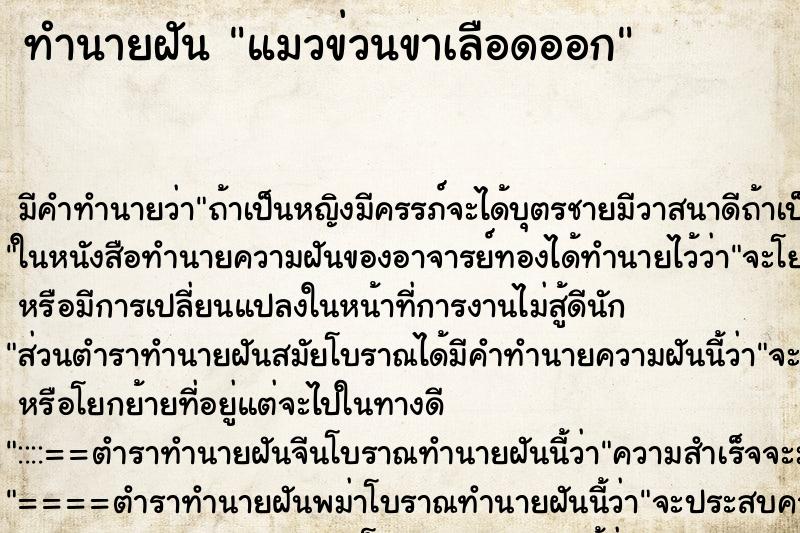 ทำนายฝันแมวข่วนขาเลือดออก ทำนายฝันทำนายฝันแมวข่วนขาเลือดออก