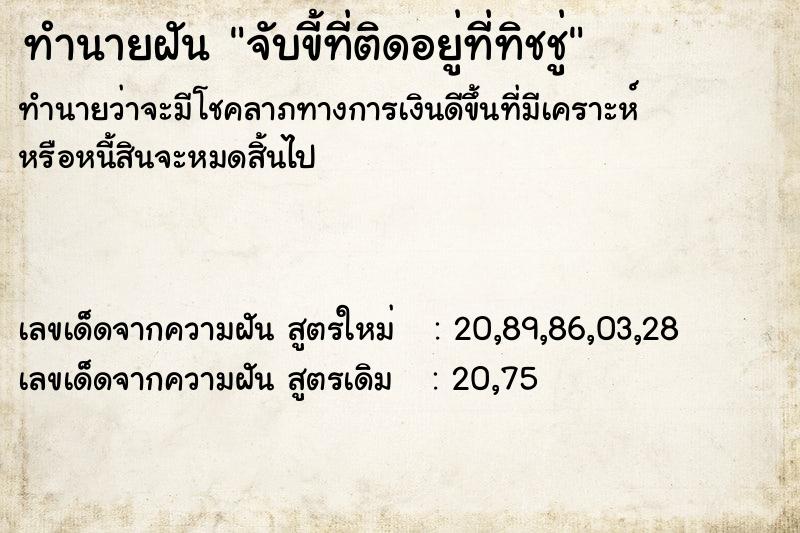 ทำนายฝันจับขี้ที่ติดอยู่ที่ทิชชู่ ทำนายฝันทำนายฝันจับขี้ที่ติดอยู่ที่ทิชชู่