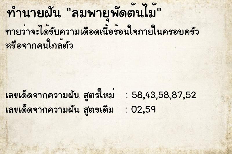 ทำนายฝันลมพายุพัดต้นไม้ ทำนายฝันทำนายฝันลมพายุพัดต้นไม้