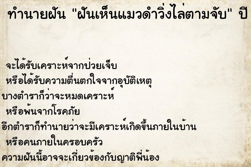 ทำนายฝัน ฝันเห็นแมวดำวิ่งไล่ตามจับ ทำนายฝัน ฝันเห็นแมวดำวิ่งไล่ตามจับ