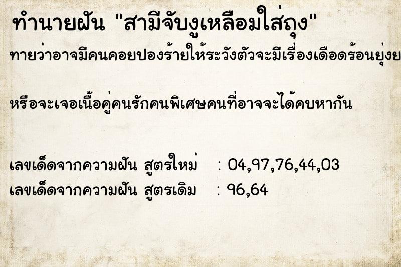 ทำนายฝันสามีจับงูเหลือมใส่ถุง ทำนายฝันทำนายฝันสามีจับงูเหลือมใส่ถุง