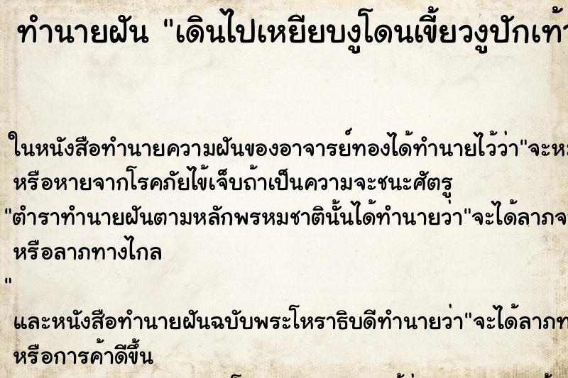 ทำนายฝันเดินไปเหยียบงูโดนเขี้ยวงูปักเท้า ทำนายฝันทำนายฝันเดินไปเหยียบงูโดนเขี้ยวงูปักเท้า