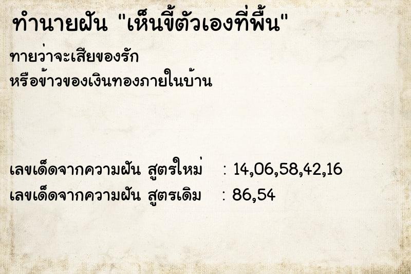 ทำนายฝันเห็นขี้ตัวเองที่พื้น ทำนายฝันทำนายฝันเห็นขี้ตัวเองที่พื้น