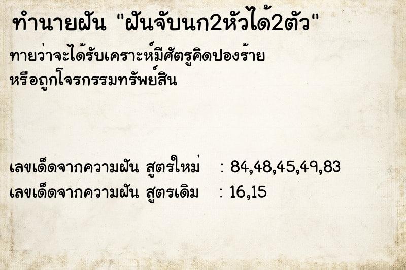 ทำนายฝันฝันจับนก2หัวได้2ตัว ทำนายฝันทำนายฝันฝันจับนก2หัวได้2ตัว