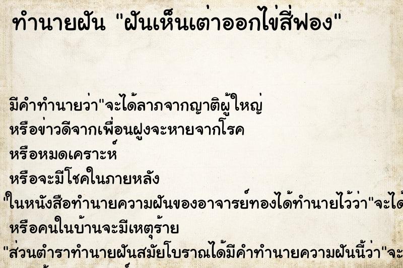 ทำนายฝัน ฝันเห็นเต่าออกไข่สี่ฟอง ทำนายฝัน ฝันเห็นเต่าออกไข่สี่ฟอง