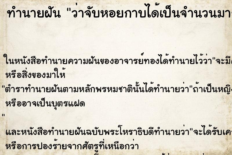 ทำนายฝันทำนายฝันว่าจับหอยกาบได้เป็นจำนวนมาก