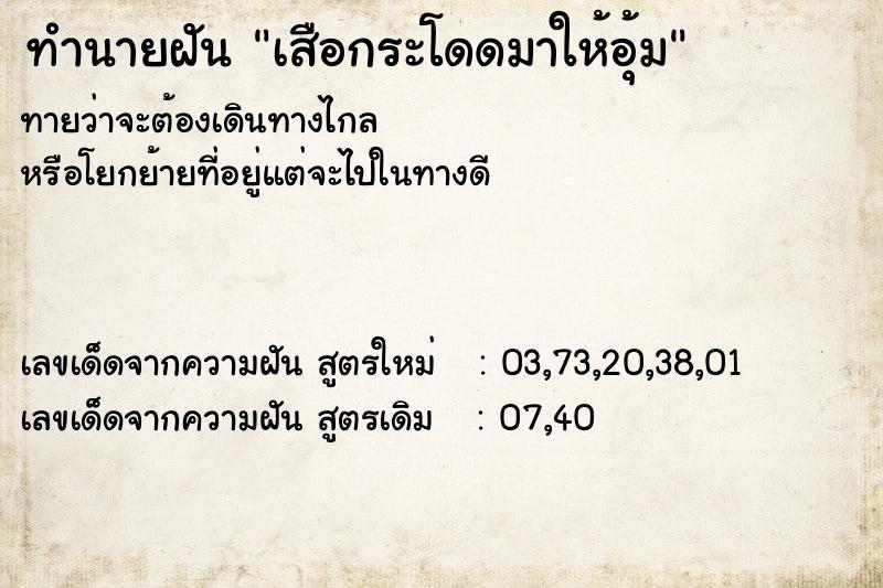 ทำนายฝัน เสือกระโดดมาให้อุ้ม ทำนายฝัน เสือกระโดดมาให้อุ้ม