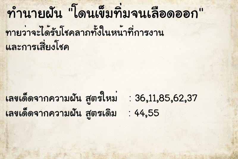 ทำนายฝันโดนเข็มทิ่มจนเลือดออก ทำนายฝันทำนายฝันโดนเข็มทิ่มจนเลือดออก