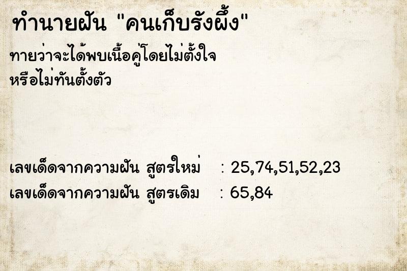 ทำนายฝันทำนายฝันคนเก็บรังผึ้ง