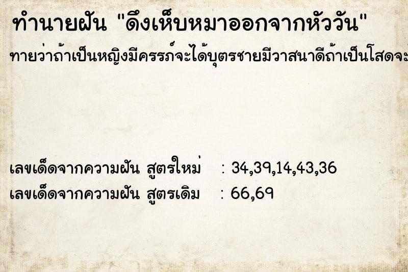 ทำนายฝันทำนายฝันดึงเห็บหมาออกจากหัววัน