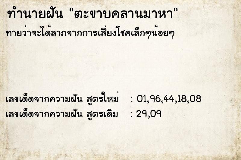 ทำนายฝันตะขาบคลานมาหา ทำนายฝันทำนายฝันตะขาบคลานมาหา