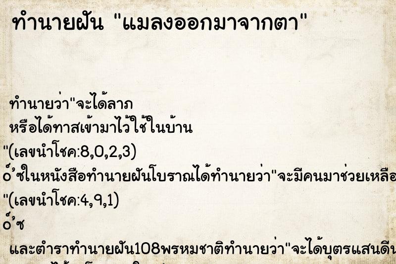 ทำนายฝัน แมลงออกมาจากตา ทำนายฝัน แมลงออกมาจากตา