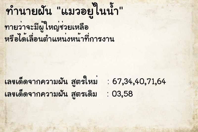 ทำนายฝันทำนายฝันแมวอยู่ในน้ำ