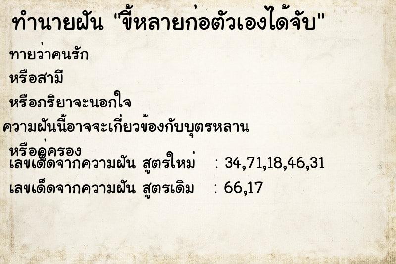 ทำนายฝันทำนายฝันขี้หลายก่อตัวเองได้จับ
