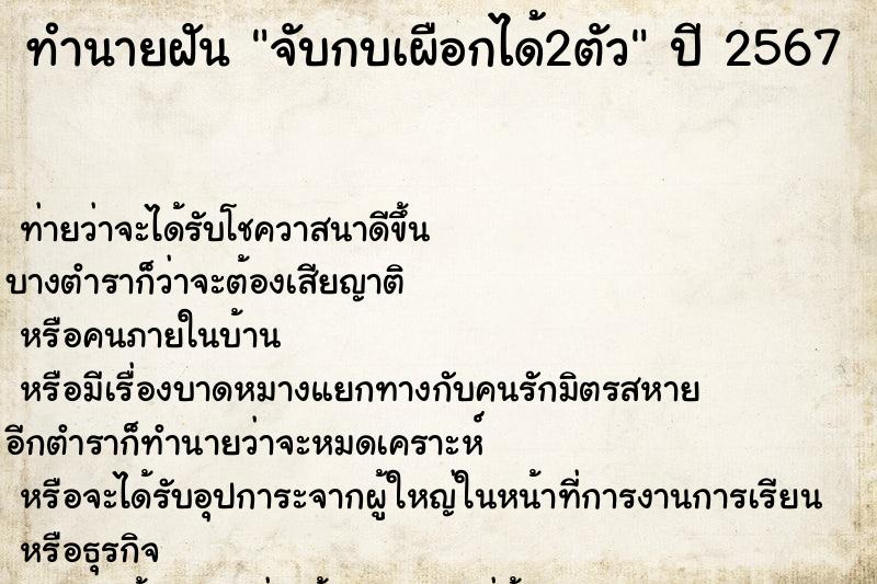 ทำนายฝันจับกบเผือกได้2ตัว ทำนายฝันทำนายฝันจับกบเผือกได้2ตัว